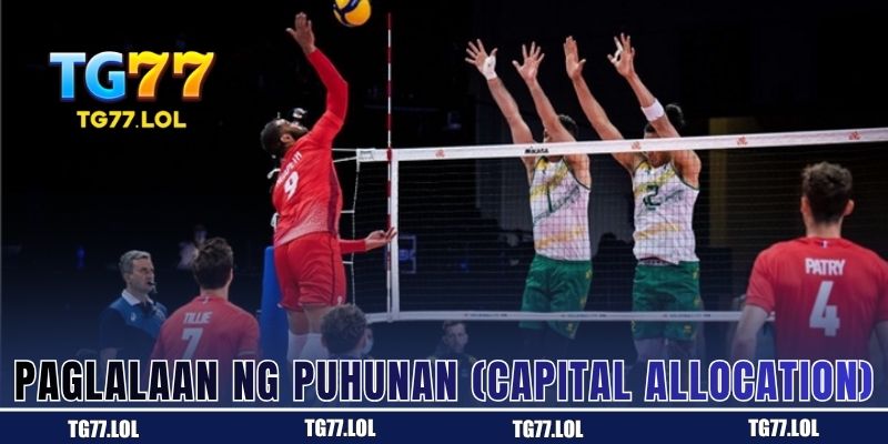 Paglalaan ng Puhunan (Capital Allocation)