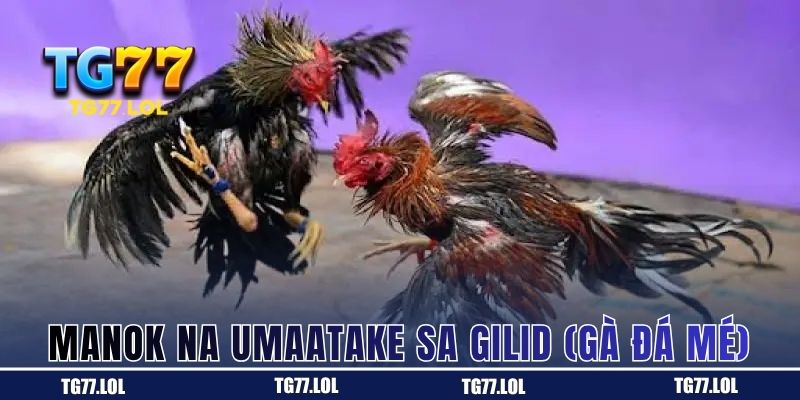 Manok na Umaatake sa Gilid (Gà đá mé)