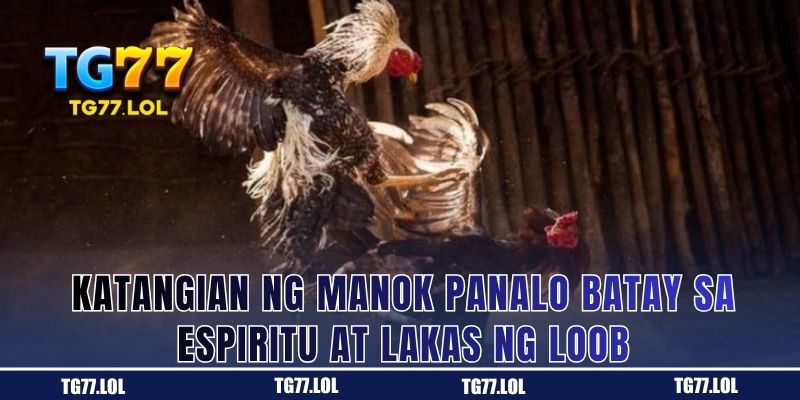 Katangian ng Manok Panalo Batay sa Espiritu at Lakas ng Loob