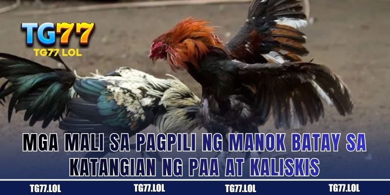 Mga Mali sa Pagpili ng Manok Batay sa Katangian ng Paa at Kaliskis