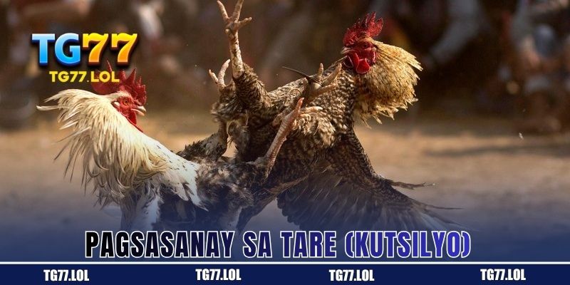 Pagsasanay sa Tare (Kutsilyo) 