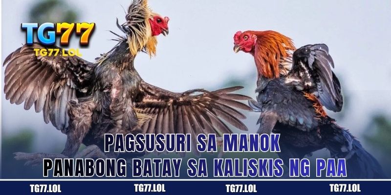 Pagsusuri sa Manok Panabong Batay sa Kaliskis ng Paa