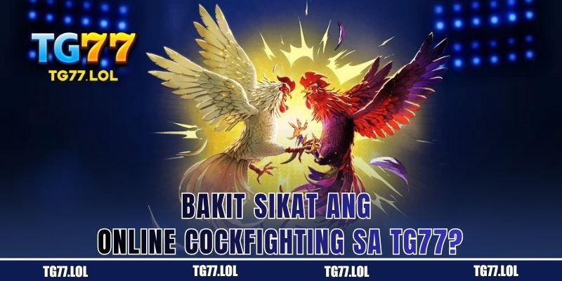 Bakit Sikat ang Online Cockfighting sa TG77?